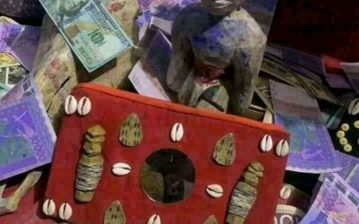 LE VRAI PORTEFEUILLE MAGIQUE EN FRANCE